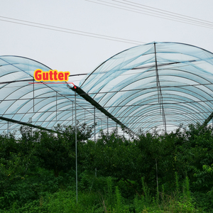 Serre en film plastique pour <span class=keywords><strong>abri</strong></span> contre la pluie, idéale pour les poivrons - Product Image 5