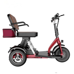 Tricycle électrique pliable en alliage Elite 48V 300W 20Ah 20km/h 55km d'autonomie avec frein à tambour pour seniors, personnes à mobilité réduite, loisirs et courses - Product Image 1