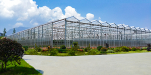 Panel <span class=keywords><strong>alveolar</strong></span> transparente para invernadero, lámina de <span class=keywords><strong>policarbonato</strong></span> para cultivo - Product Image 4