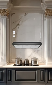 <span class=keywords><strong>Hotte</strong></span> <span class=keywords><strong>aspirante</strong></span> combinée <span class=keywords><strong>professionnelle</strong></span> de type T, plaque chauffante électrique, classe d'efficacité énergétique, largeur 600 mm, OEM commercial - Product Image 5