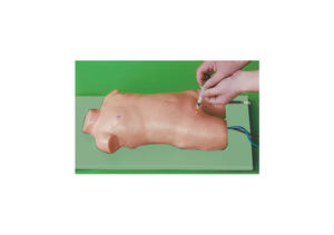 Clínica Enfermagem Habilidade Punção Comprehensive Habilidade Treinamento Simulador Criança <span class=keywords><strong>Femoral</strong></span> Veia & <span class=keywords><strong>femoral</strong></span> Artéria Punção Treinamento Modelo - Product Image 4