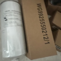 Filter Bahan Bakar Wheel Loader Sinotruk HOWO Fs20157 Wg9925550212 untuk Suku Cadang Truk