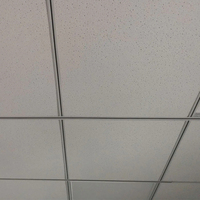 Placas de Techo Falso de Fibra Mineral Modernas, Sistema de Rejilla, Clase A, Ignífugas, Insonorizantes, para Uso en Oficinas
