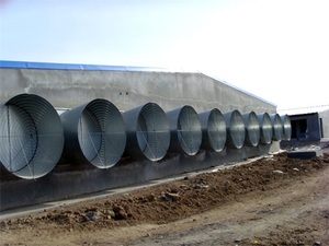 พัดลมระบายอากาศทรงกรวยฮอร์นข้อมูล1.1Kw 0.75Kw สำหรับฟาร์มสัตว์ปีก - Product Image 6