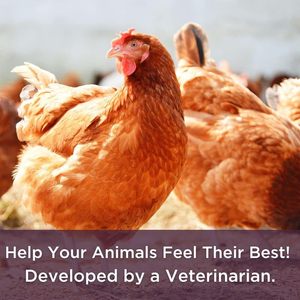 LOGO personnalisé Booster d'œufs <span class=keywords><strong>pour</strong></span> poules - Supplément vitaminique Oméga-3 <span class=keywords><strong>pour</strong></span> poules pondeuses - Soutien à la santé des œufs et des plumes - Traitement naturel - Product Image 3