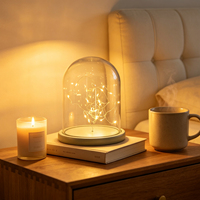 Support de fleurs préservées en verre avec base en bois gris et éclairage LED pour décoration de table et de maison (vente en gros)