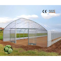Serre agricole à simple travée 10x50m pour pépinière, en film plastique PE