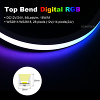 Lampu Neon Ip67 Ws2811 24v Addressable Pixel Smd 144 Led Matrix Strip Digital yang Dapat Diprogram untuk Dekorasi DIY dan Warna-warni