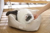 Lit pour animaux de compagnie en cuir PU de luxe, coussin moelleux pour chien et chat, nid douillet