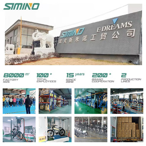 Bicicleta Eléctrica de Carga 36V 250W, Bicicleta Eléctrica de Carga con Neumáticos Anchos, Las Mejores Bicicletas Eléctricas de Carga - Product Image 5