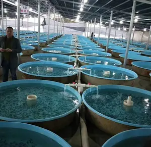 Réservoir d'aquaculture FRP