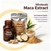 Extrait de Maca en Gros du Fabricant - Poudre d'Extrait de Racine de Maca Noire de Haute Qualité