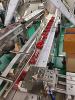 Machine de remplissage de doseur multi-têtes à 20 têtes pour fruits frais, chips
