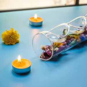 <span class=keywords><strong>Vaso</strong></span> in Vetro Borosilicato Trasparente Personalizzato con Due Fori per Candele, <span class=keywords><strong>Piante</strong></span> Aeree e Mini Succulente - Product Image 4