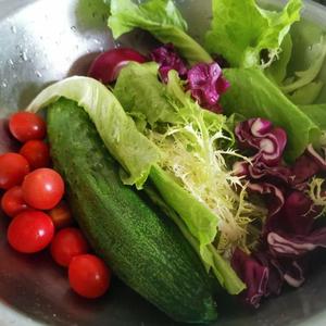 工厂价高品质餐厅蔬菜清洗机传送带式蔬菜水果气泡清洗机 - Product Image 5