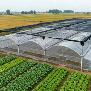 Solución Comercial Personalizada Llave en Mano: <span class=keywords><strong>Invernadero</strong></span> Multicapa con Doble Cubierta y Diseño 2D/3D para Cultivo de Tomate y Lechuga - Product Image 4