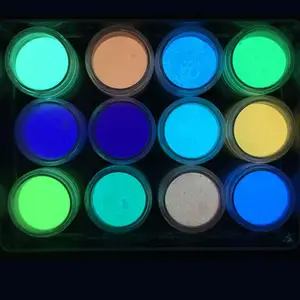 Glow In The Dark Powder 12 Colors Epoxy Resin Dye Luminous Pigment Powder Safe Long Lasting