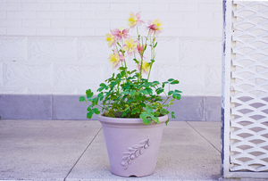 Pot de fleurs en plastique biodégradable minimaliste Yuncheng, léger, durable, écologique, avec trou de drainage, auto-arrosant, pour <span class=keywords><strong>jardin</strong></span> extérieur - Product Image 4