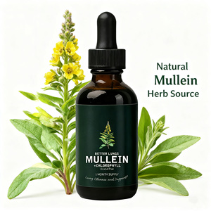 Bán buôn nhãn hiệu riêng <span class=keywords><strong>mullein</strong></span> lá dầu bổ sung hữu cơ tự nhiên <span class=keywords><strong>mullein</strong></span> lá chiết xuất chất lỏng thảo mộc giọt cho người lớn - Product Image 5