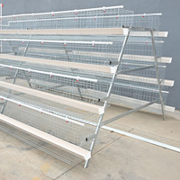 Nouvelles cages de type A pour poulets de chair et poules pondeuses, en acier galvanisé à chaud, pour 96-160 poulets, élevage avicole