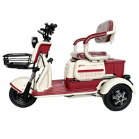 Trois tricycles électriques à carrosserie ouverte, puissance 600W, directement fournis par l'usine chinoise