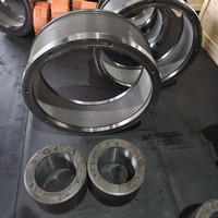 Granulateur de granulés d'aliments en acier inoxydable, disque matriciel WINHO, 15 tonnes/h, neuf, directement de l'usine