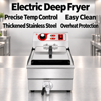 Elektrische friteuse voor aanrecht, enkelvoudige tank, 13L, 5000W, roestvrij staal, met mandje, afvoerkraan en temperatuurregeling voor de keuken
