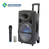 Haut-parleur portable rechargeable 15W avec microphone sans fil 2.4G, batterie lithium 3.7V 3600mAh, Bluetooth, USB/TF