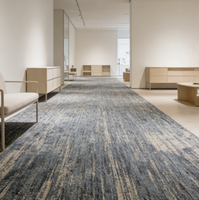 Tapis d'hôtel résistant à l'eau pour circulation intensive, tapis d'escalier, tapis de couloir, antibactérien, rembourré, antidérapant, tufté, tissé