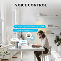 Mini Tuya WiFi Smart Light Gradateur Module Bricolage Disjoncteur Interrupteur 1/2 Gang Avec Alexa Google Home
