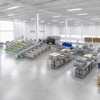 Ligne de tri et de calibrage d'œufs entièrement automatique, capacité de 60 000 œufs par heure, équipement de tri des œufs en acier inoxydable pour usine d'œufs