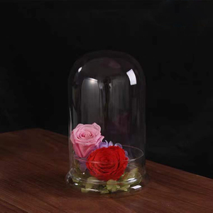 Cúpula de campana de cristal redonda decorativa transparente hecha a medida con Base de cristal con orificio de aire para suculentas en miniatura Venus <span class=keywords><strong>atrapamoscas</strong></span> - Product Image 3