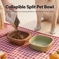 Bol pliable en silicone pour animaux de compagnie, pliable, portable, pour l'eau et la nourriture, pour chien et chat, en plein air