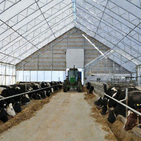 Dôme à structure en acier galvanisé préfabriqué moderne pour poulaillers, bâtiments d'élevage, fermes équine, entrepôts d'élevage