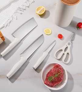 Juego de 5 Cuchillos de Cocina de Acero Inoxidable, Económicos, para Cortar Verduras y Frutas - Product Image 4