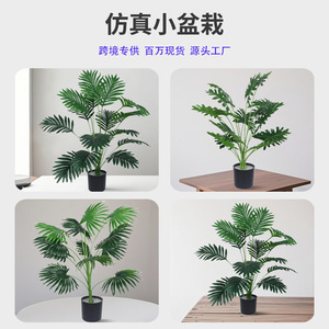 Planta Artificial de Palmera en Maceta Dream Castle de 70 cm, Decoración de Interiores, Vegetación - Product Image 5
