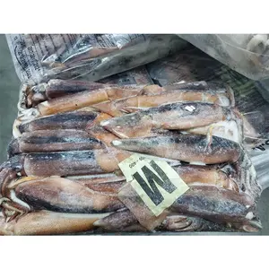 Illex Squid Price Frozen Illex Squid Whole Round From China