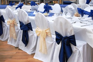 Sillas de Lujo para Eventos y Banquetes de Hotel, Ovaladas, de Hierro Azul Tiffany, Usadas, para Celebraciones - Product Image 5