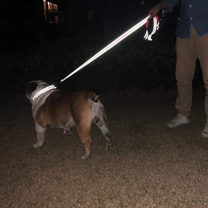 Cuerda de remolque para mascotas de perro con reflejo nocturno, cuerda protectora de 1,2/1,5/1,8 m, correa de entrenamiento para caminar para mascotas, arnés para perros y gatos, correa de plomo - Product Image 1