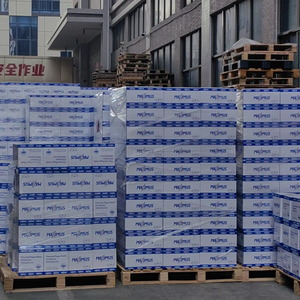 Carta per copia da ufficio con stampa bianca doppia carta <span class=keywords><strong>500</strong></span> 70gsm 80 Gsm copia carta A4 - Product Image 4