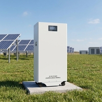 Système de stockage d'énergie domestique personnalisé avec batterie LiFePO4 de 5 kWh, batterie solaire verticale à poser au sol pour système solaire résidentiel