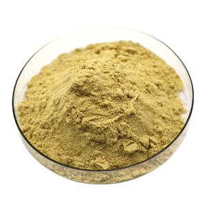 건강 보충 교재 은행 나무 <span class=keywords><strong>Biloba</strong></span> 캡슐 추출물 분말 은행 나무 잎 추출물 분말 - Product Image 1