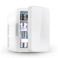 10L DC 12V AC 110V 220V personnalisé électronique cosmétique réfrigérateur mini bar réfrigérateur