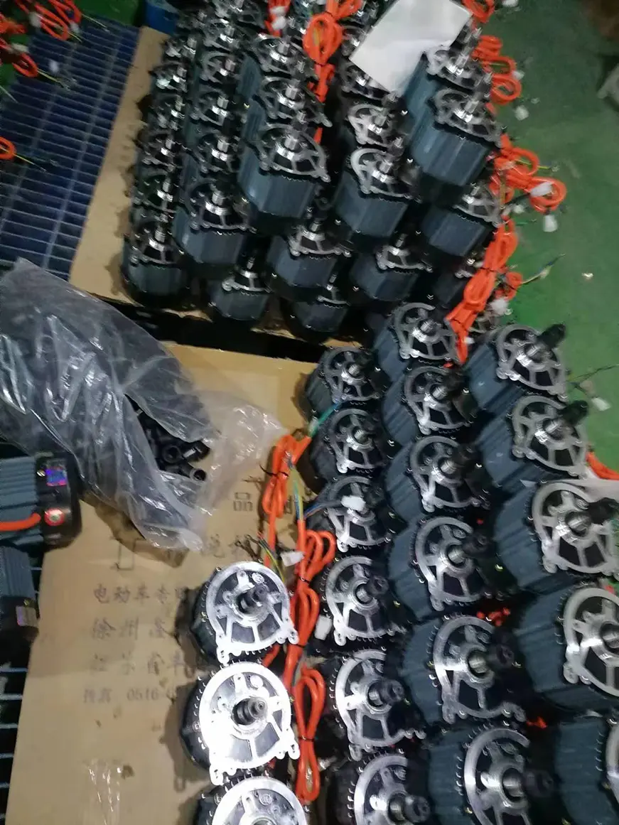 Made in China 800w-1200w 48V/60V/72V brushless DC differential motor for electric tricycle