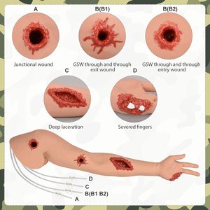 Simulador de Control de Hemorragias Yulin: Modelo Anatómico de Brazo para Entrenamiento con Torniquete de PVC y Silicona para Empacar Heridas Medianas y Detener Hemorragias - Product Image 3