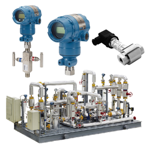 Trasmettitore di Pressione In-Line Rosemount 2051TG, Guarnizione 1199 e Anelli di Lavaggio 319 + Trasmettitore di Pressione Keller PR33X/PD33X/PR35X - Product Image 1