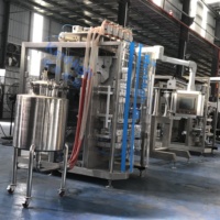 Machine de remplissage de liquide multi-lignes KenHigh verticale à grande vitesse 6/8/10/12 voies pâte de crevettes Mayonnaise Stickpack