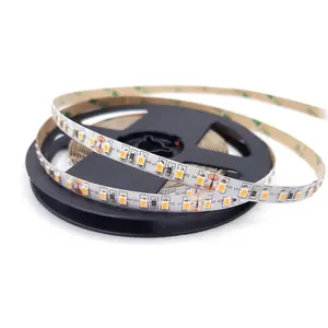 Tira de luces LED flexible, 120 Leds/m, 9,6 W/m, Blanco cálido, SMD 2835, DC 12/24V