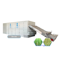 Séchoir industriel à citronnelle en promotion – Machine de séchage pour épices et herbes