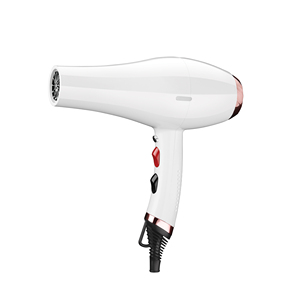Sèche-<span class=keywords><strong>cheveux</strong></span> <span class=keywords><strong>professionnel</strong></span> <span class=keywords><strong>de</strong></span> <span class=keywords><strong>marque</strong></span> <span class=keywords><strong>de</strong></span> salon, ionique électrique, en gros - Product Image 1